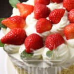 蛋糕食譜,點心食譜~蛋糕ABC 第１部~ CAKEの基本! 海綿蛋糕